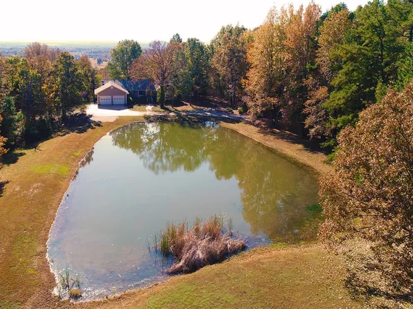 800 Crow Ln, Sulphur Rock, AR 72579