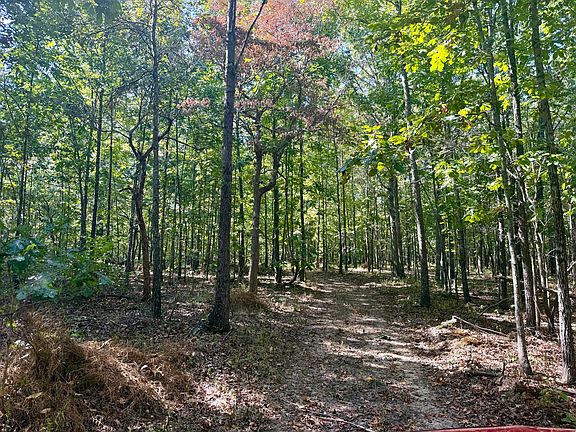 2nd image of 196 Forest Rd 9673