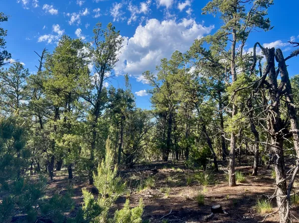 0 Glorieta Mesa Rd, Glorieta, NM 87535