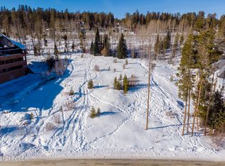 Lions Gate Dr, Winter park, CO 80482