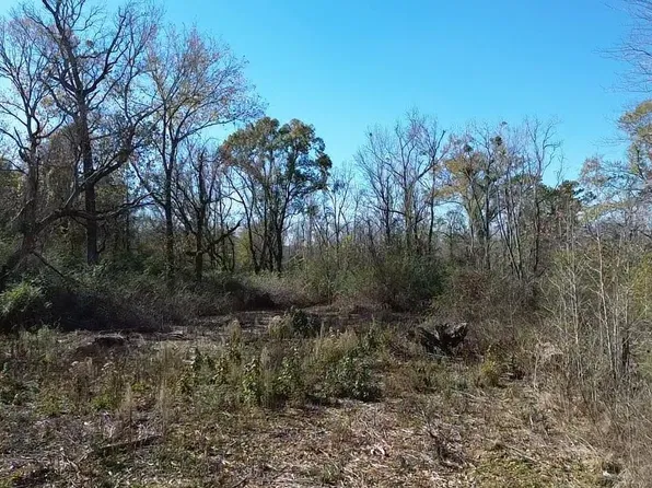 PARCEL 5 Horseshoe Rd W, Amite, LA 70422