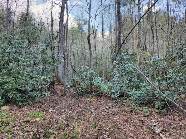 0 Hill St, Butler, TN 37640