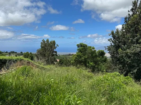 730 Lower Kimo Dr, Kula, HI 96790