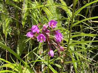 Molokai Rd LOT 1090, Pahoa, HI 96778