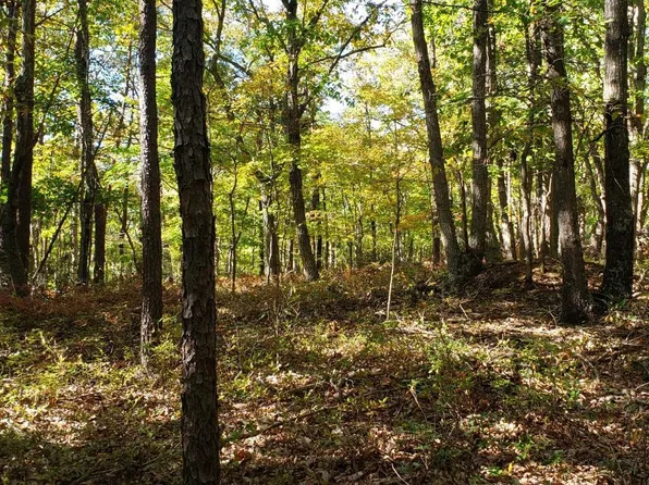 0 Trey Ct Lot 35 & 35, Madison Heights, VA 24572