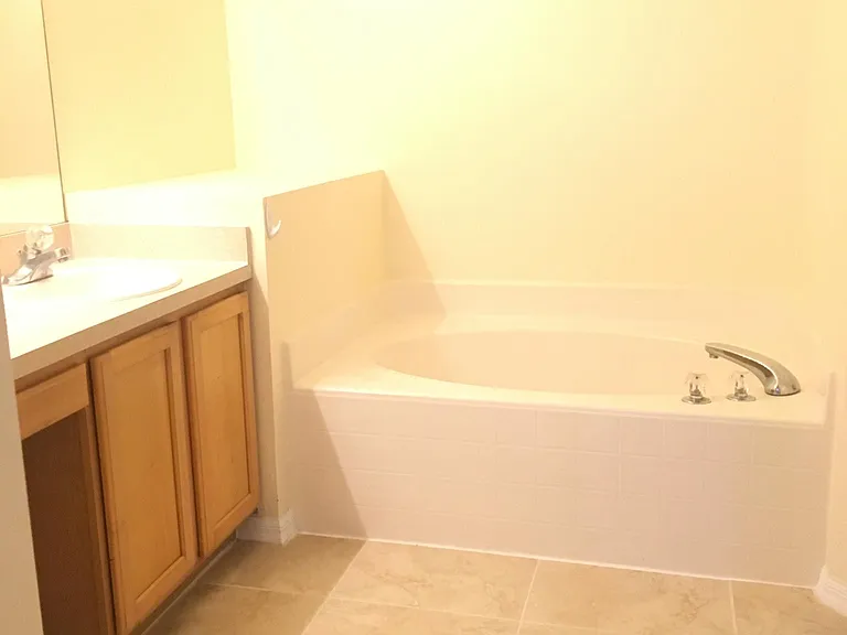 Master bathroom