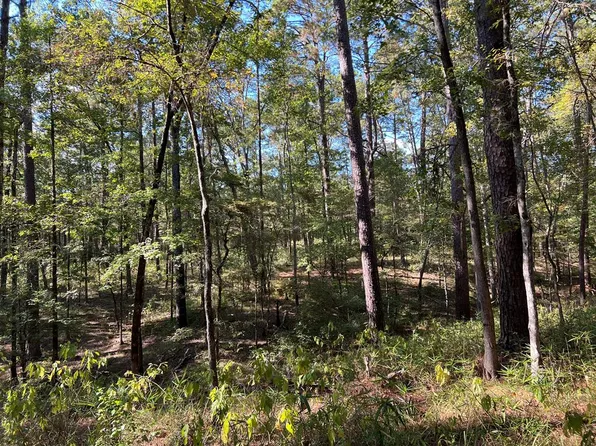 R27947 County Road 2940, Shelbyville, TX 75973