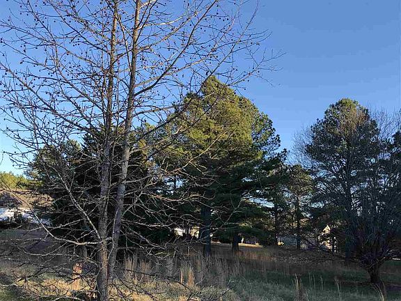 3rd image of 33 Stonebridge Ln #33