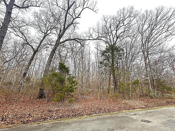 5th image of 0 Lakeshore Dr Lot 17