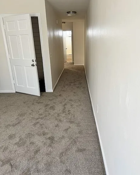 219 Daisy Ave — Photo 3