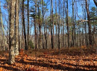 1101 Panda Dr, Ranger, GA 30734