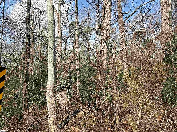 3rd image of 0 McCall Rd
