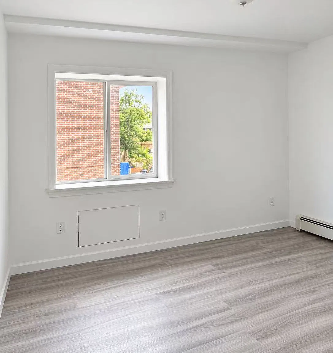 65-15 Clinton Avenue — Photo 3