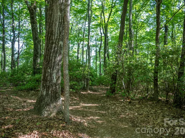 Tm I 33 Toxaway Dr, Lake Toxaway, NC 28747