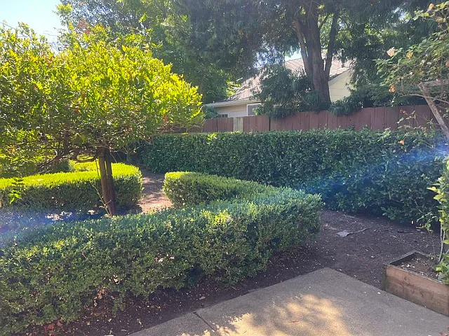 yard is maintnance is included and paid by the landlord