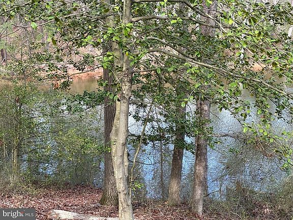 3rd image of 800 N Shore Dr