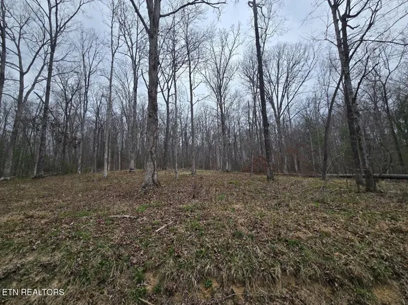 0 Scott Fentress Co Line, Allardt, TN 38504