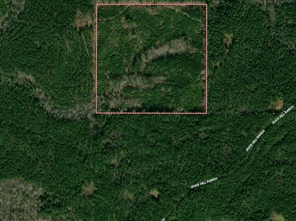 Duck Hill Ranch Rd, Winona, MS 38967
