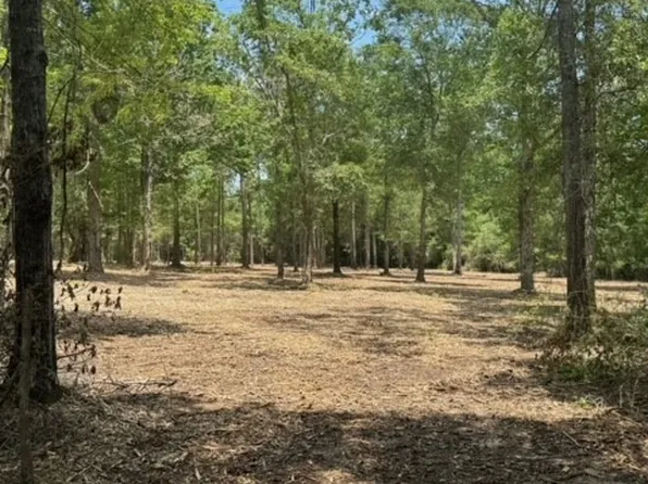 0 Us Highway 190 W, Livingston, TX 77351