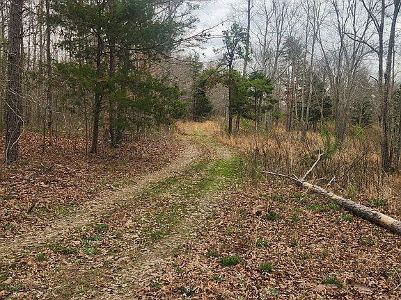 2nd image of 0 Nine Mile Ridge Rd