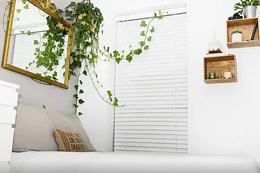 Rented by First Vulcan, Inc.