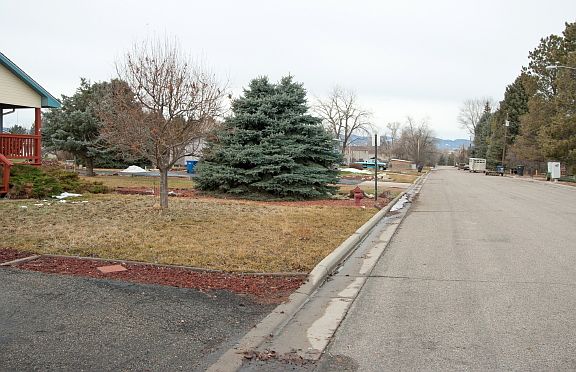 road view