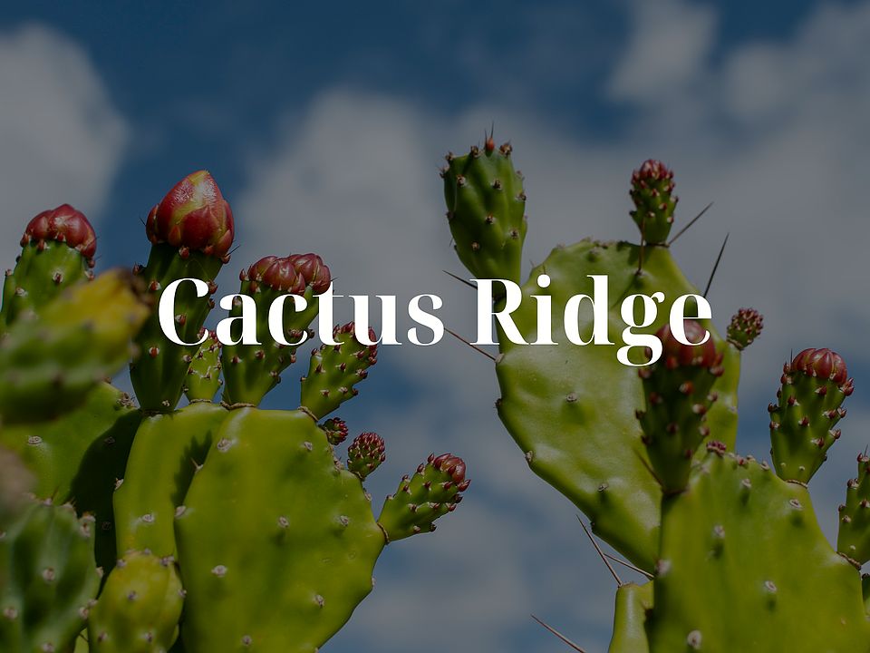 Cactus Ridge by Dunhill Homes in Joshua TX Zillow