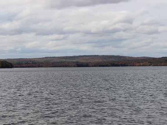 2nd image of L47-2 Salmon Circle