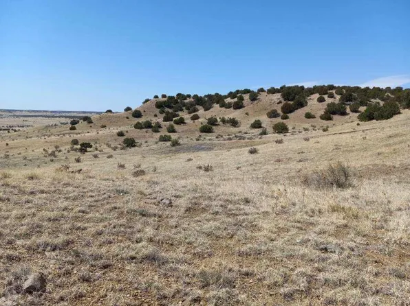 8 Longhorn Trl, Model, CO 81059