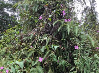 Kapuna Rd LOT 1070, Pahoa, HI 96778