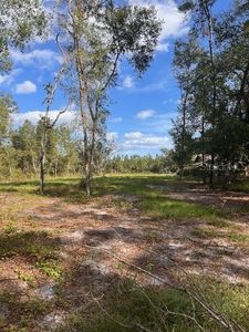 64 Lyon Dr #3A, Deland, FL, 32724