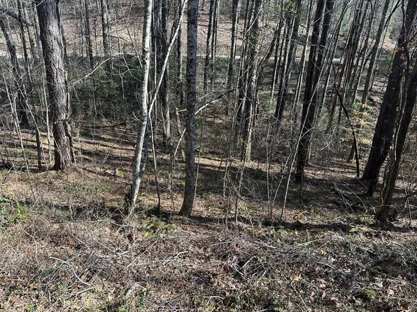 2 Acres Black Walnut Ln, Murphy, NC 28906