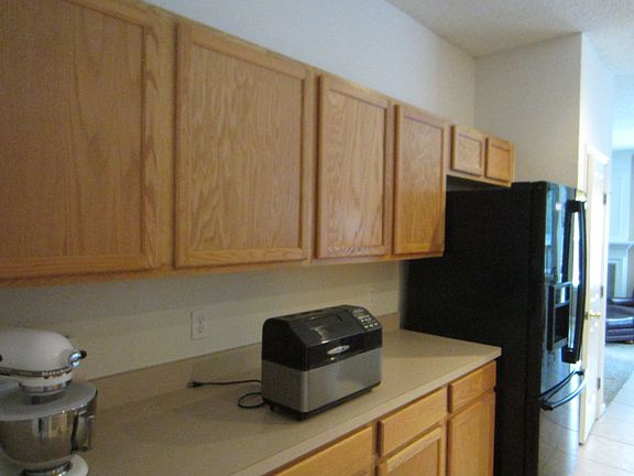 3rd image of 296 Ivy Lakes Dr