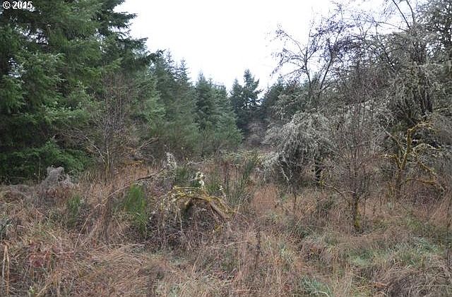 2nd image of Swedetown Rd