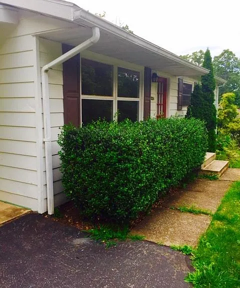 224 Sycamore Dr — Photo 2