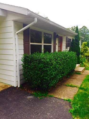 224 Sycamore Dr Photo 1