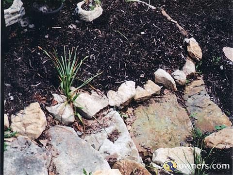 Flower Bed