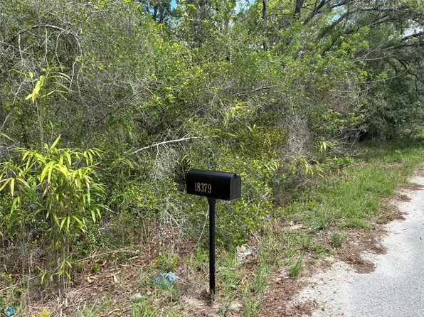 18379 Thomas Blvd, Hudson, FL 34667
