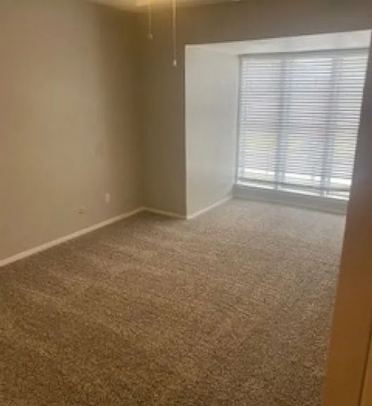 Madeira Apartments — Photo 30