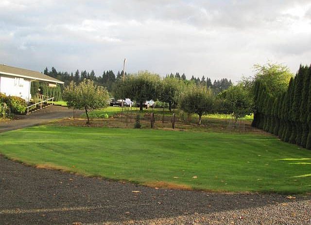Shop Looking toward Garden