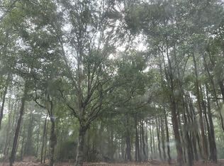 Tbd Allen Dew Rd, Conway, SC 29526