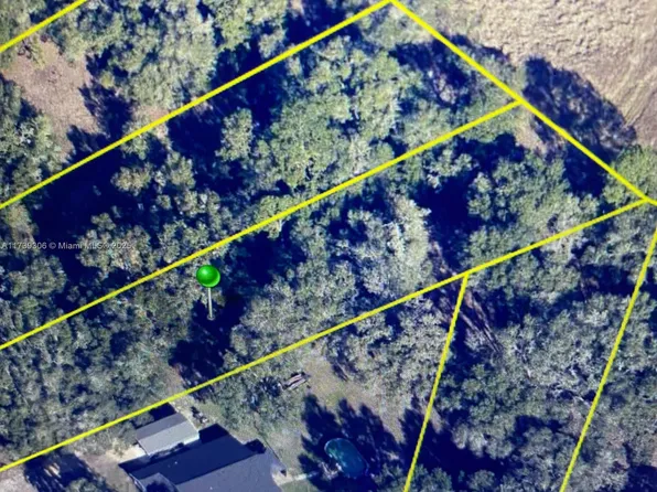 Norman St, Webster, FL 33597