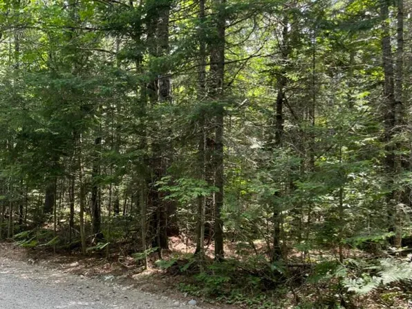 R10L22 Springy Pond Road, Otis, ME 04605