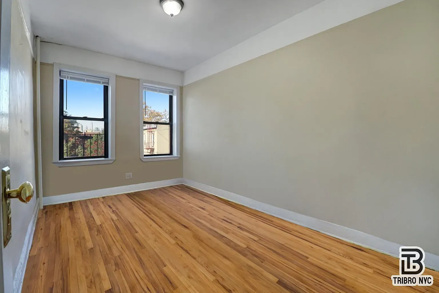 11-46 44th Drive — Photo 3