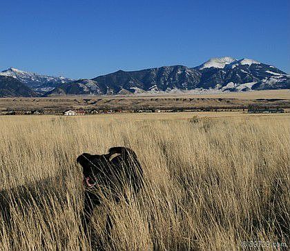 The Lot and Madison Mountains - November 2007