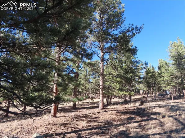 538 Mustang Trl, Florissant, CO 80816