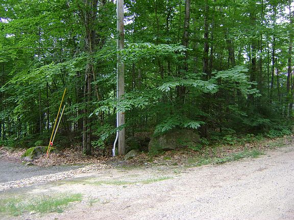 4th image of 00 Bergen Street #004