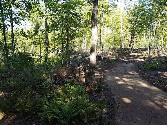 5th image of Tower Rd
