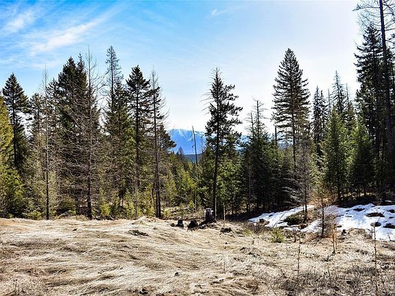 3rd image of LOT 2 Meadow Springs Rd