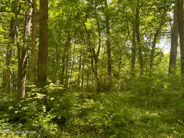 248 Maple Ct, New Haven, KY 40051